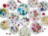 Bloom Coaster