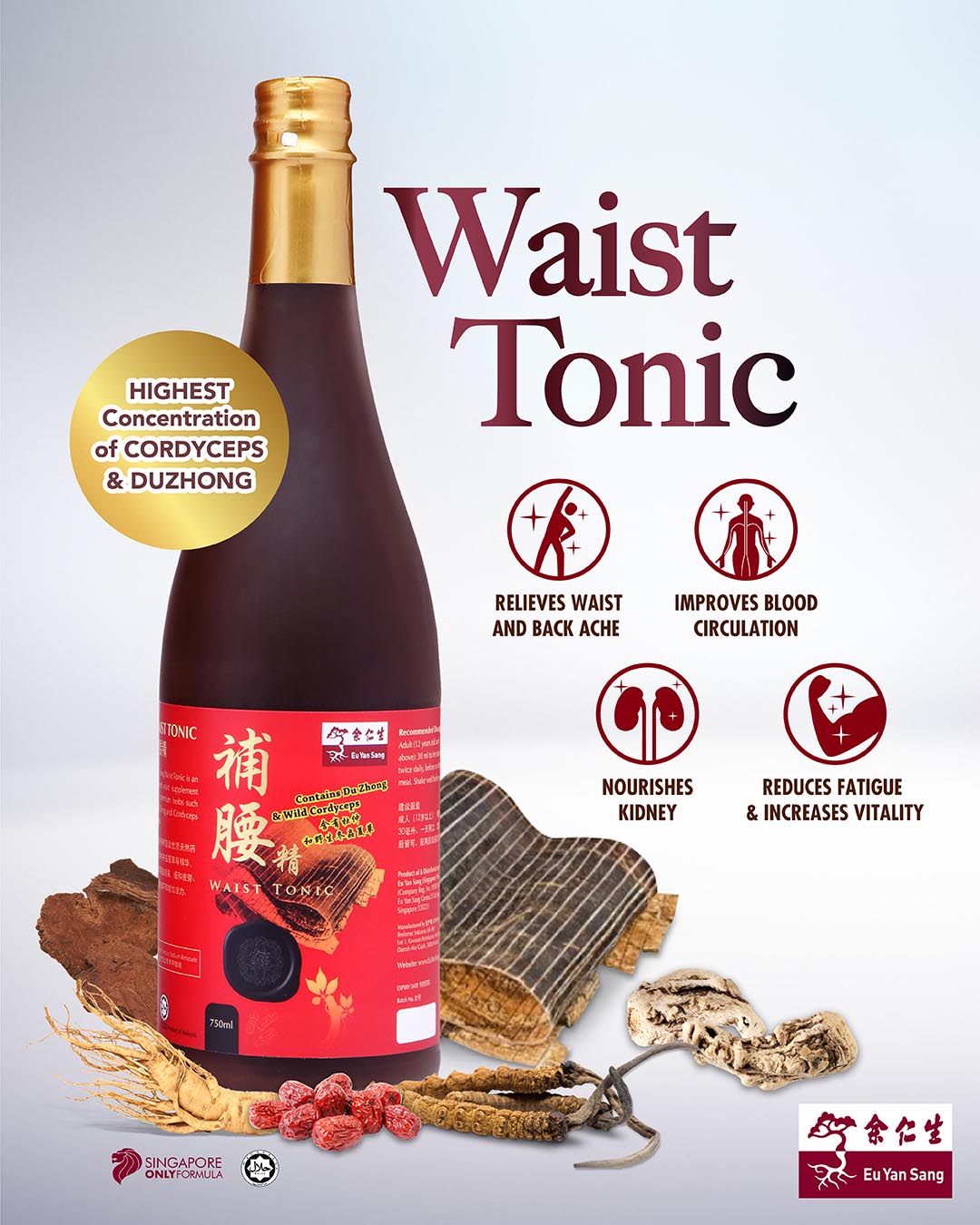 Eu Yan Sang Waist Tonic - 750ml 补腰精 750毫升 – Shukshuk