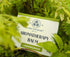 TSB Aroma Balm (18/40g)
