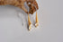 Fleur Earrings