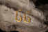 Lunar Earrings