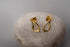Seed Earrings