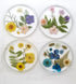 Bloom Coaster