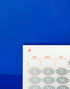 Scratch 2026 Calendar Coin Bank
