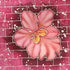 Beauty and Resilience 2026 Series - 21