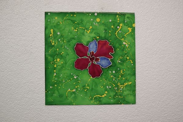 BEAUTY AND RESILIENCE 2026 SERIES - 2