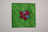 BEAUTY AND RESILIENCE 2026 SERIES - 2