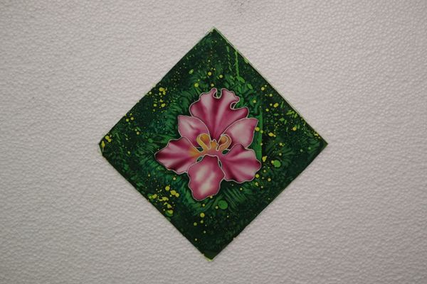BEAUTY AND RESILIENCE 2026 SERIES - 3
