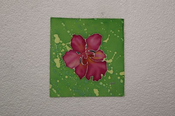 BEAUTY AND RESILIENCE 2026 SERIES - 5