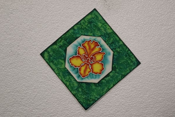 BEAUTY AND RESILIENCE 2026 SERIES - 6