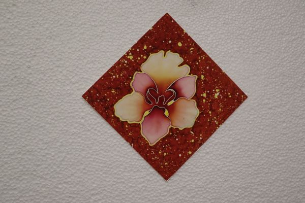 BEAUTY AND RESILIENCE 2026 SERIES - 7