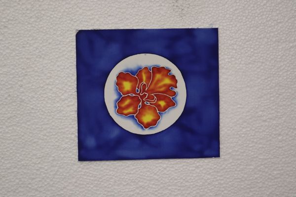 BEAUTY AND RESILIENCE 2026 SERIES - 8