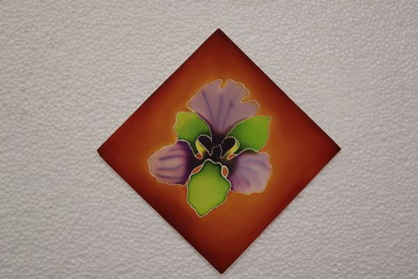 BEAUTY AND RESILIENCE 2026 SERIES - 11