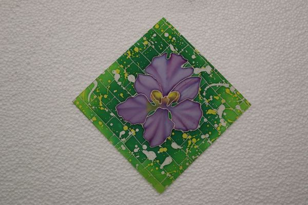 BEAUTY AND RESILIENCE 2026 SERIES - 12
