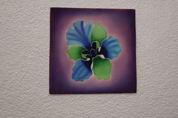 BEAUTY AND RESILIENCE 2026 SERIES - 16