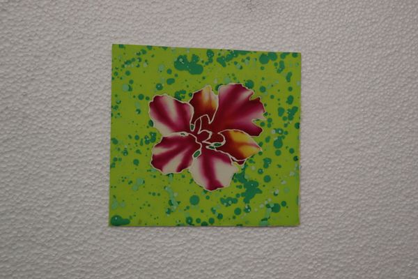 BEAUTY AND RESILIENCE 2026 SERIES - 18