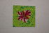 BEAUTY AND RESILIENCE 2026 SERIES - 18