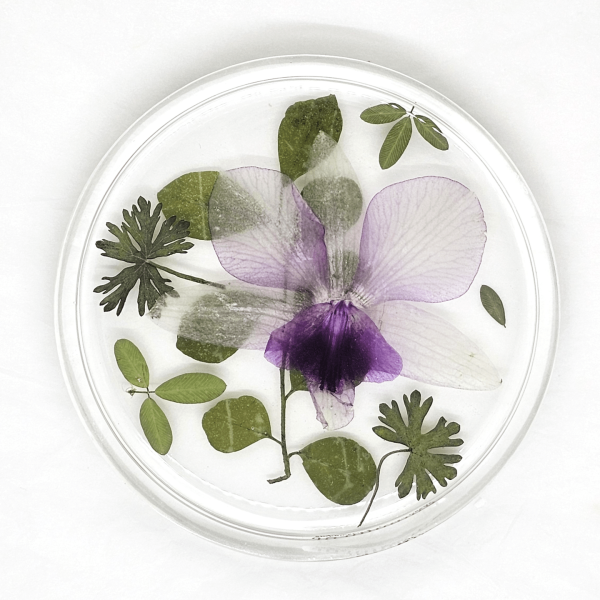 Orchid Bloom Coasters